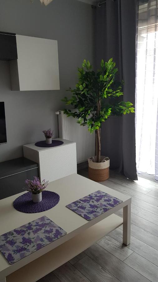 Boznicza Old Town Lux Apartment, Self Check-In 24H, Free Parking Poznań Eksteriør billede