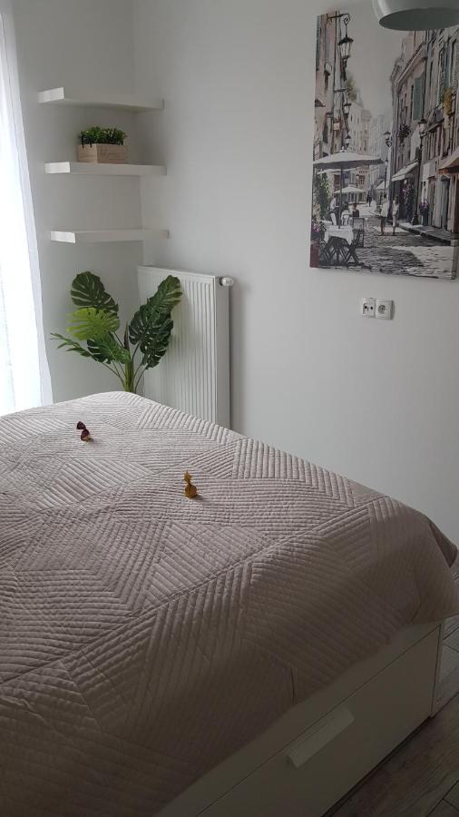 Boznicza Old Town Lux Apartment, Self Check-In 24H, Free Parking Poznań Eksteriør billede